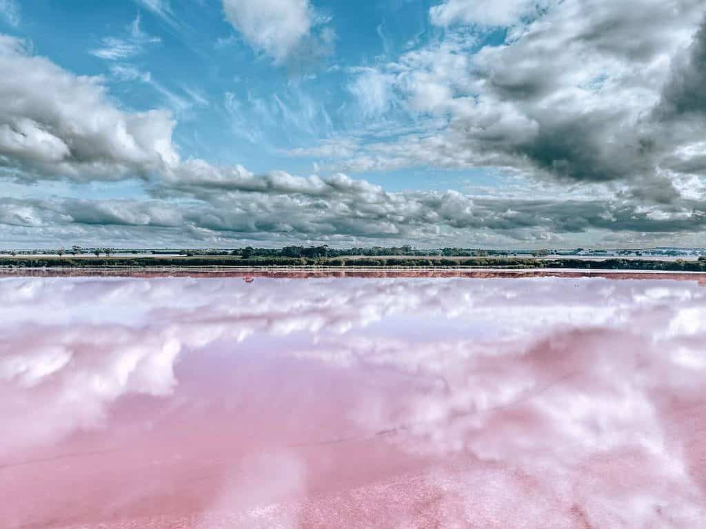 Pink lake Dimboola with cloud reflection and blue cloudy sky