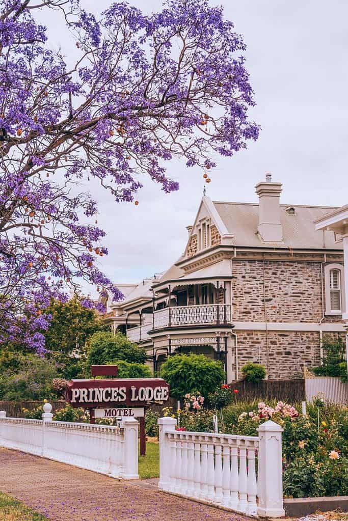 North Adelaide, Princess Lodge