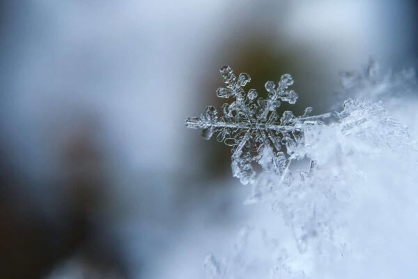 Does it snow in Adelaide or in South Australia?