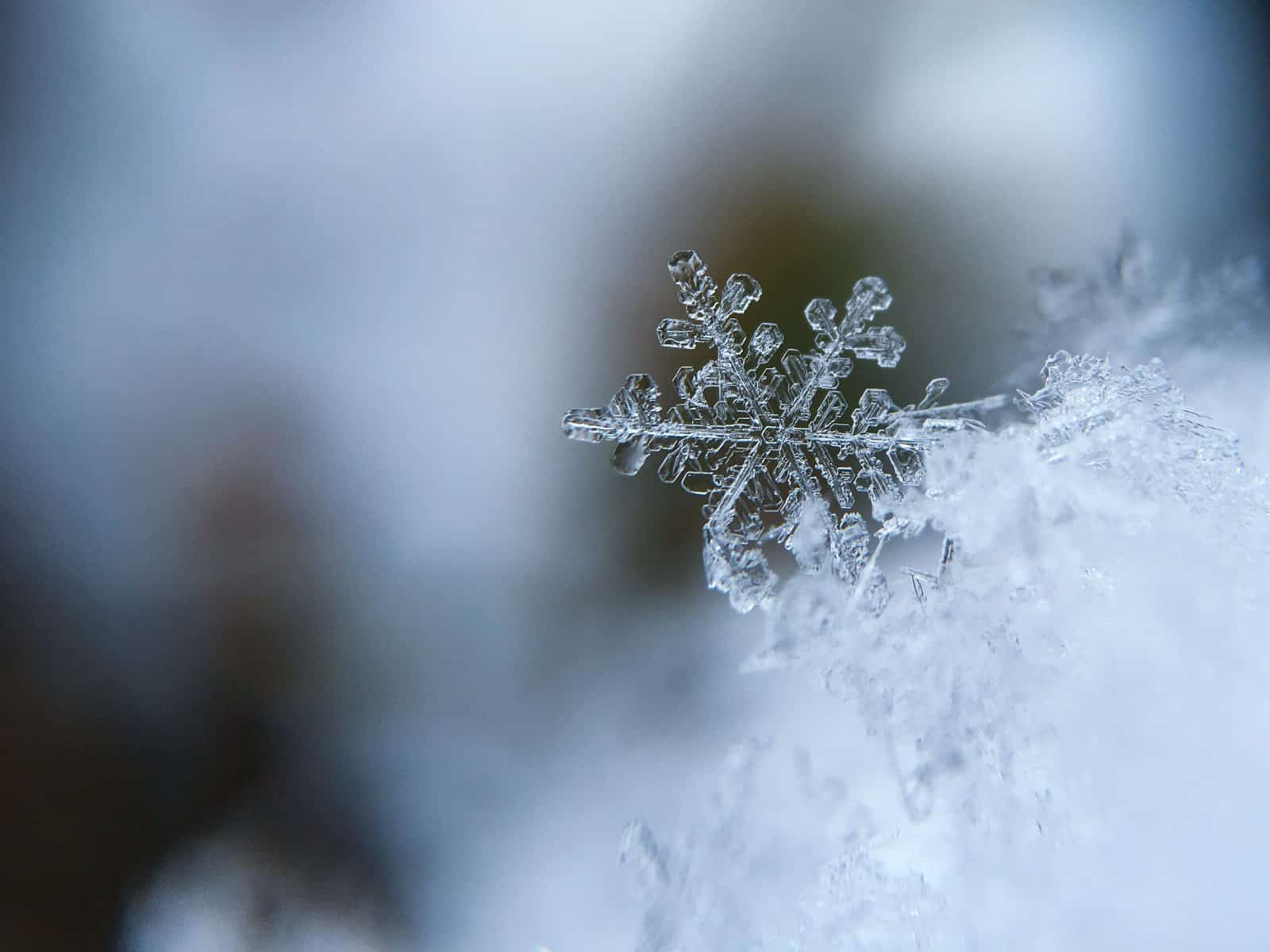 Does it snow in Adelaide or in South Australia?