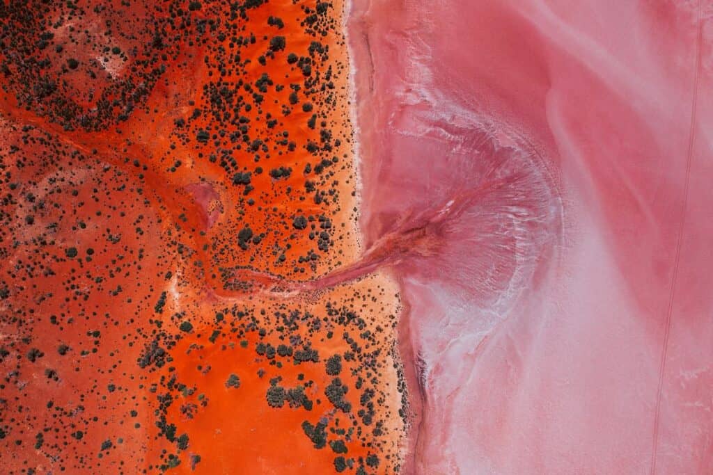 An aerial view captures the textured patterns and vibrant pink shades of Lake Ballard near Menzies, bordered by orange earth and tufts of vegetation, under a blue sky.