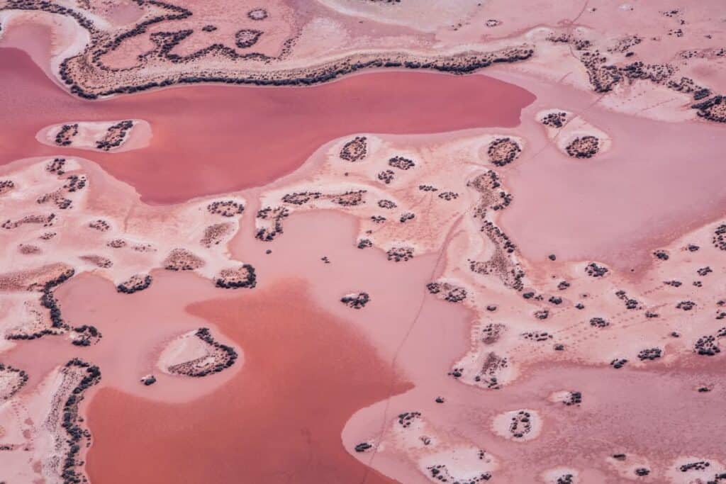 Aerial view of the Pink Lake near Lake Rebecca, Kalgoorlie, showing swirling patterns of bright and dark pink hues with scattered black vegetative patches creating a striking natural mosaic.