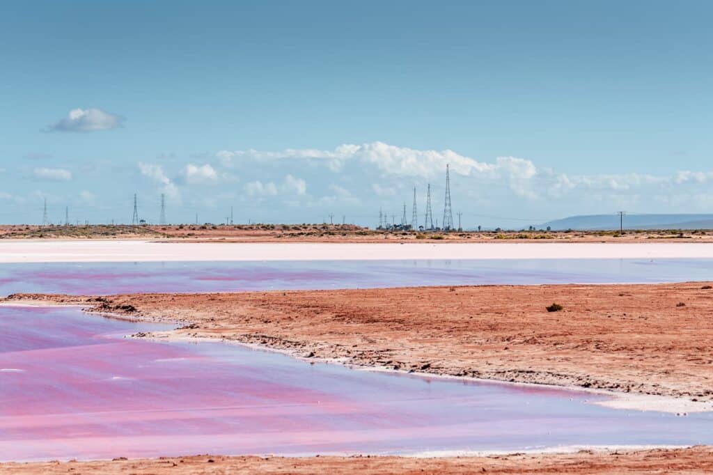 Tranquil view of the Port Augusta Pink Lake in Australia, showcasing the vibrant pink hues of the water contrasted with the red earth and a backdrop of clear skies and distant transmission towers.