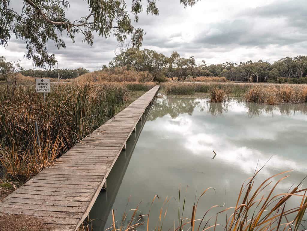 Boardwalk leading to island filled with vegetation,