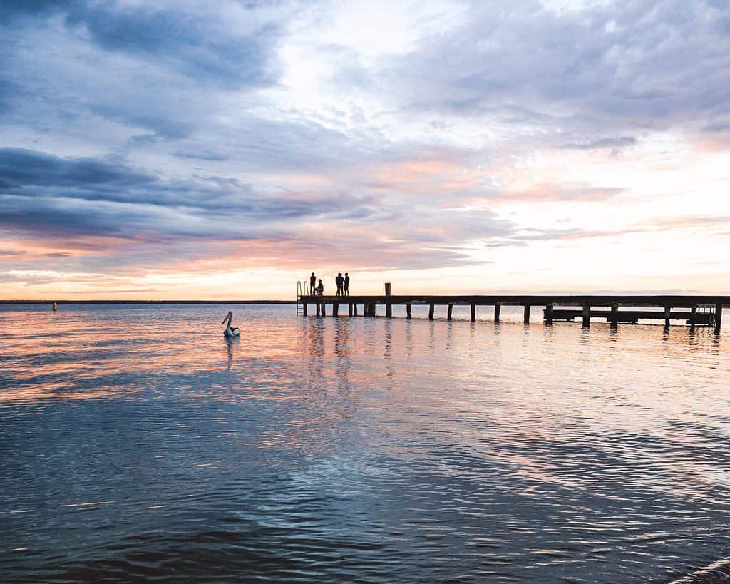 Lake Bonney, Riverland, South Australia. Sunset with lake, jetty and pelican. 