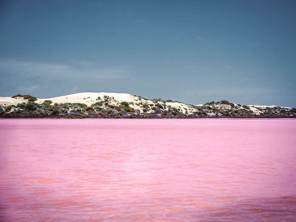 Lake Macdonnell - Penong