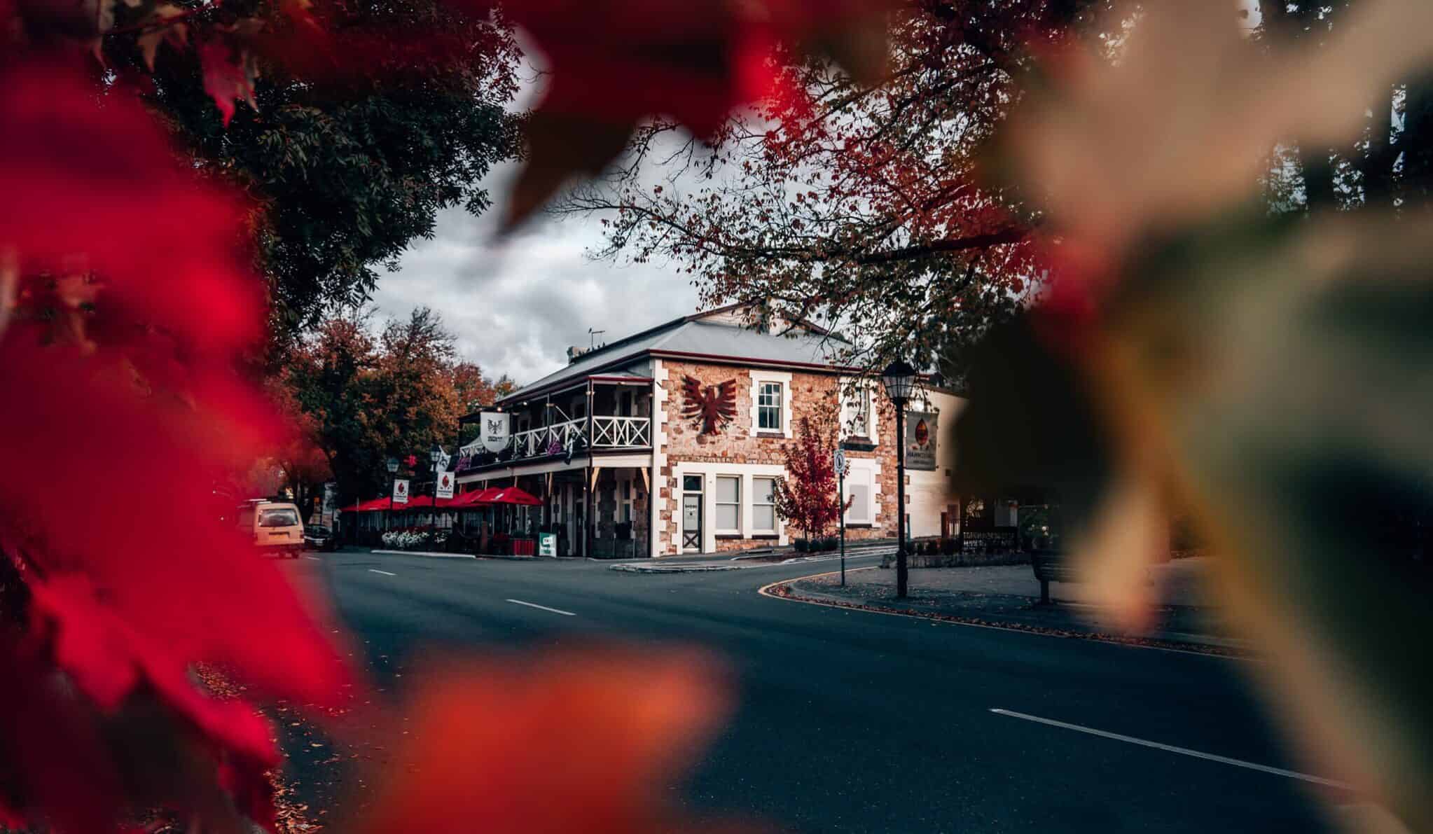 Hahndorf Autumn Leaves - German Arms